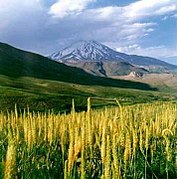 Иран таулыгының иң биек Демавенд тавы