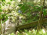 Devil's Millhopper Geological State Park