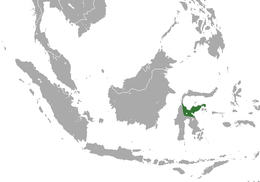 Área de distribución de Tarsius dentatus.