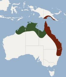 Distribution of Chalinolobus nigrogriseus.png