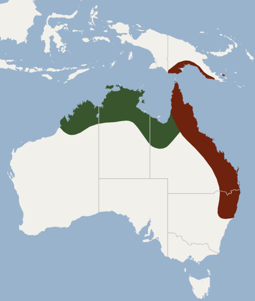 File:Distribution of Chalinolobus nigrogriseus.png