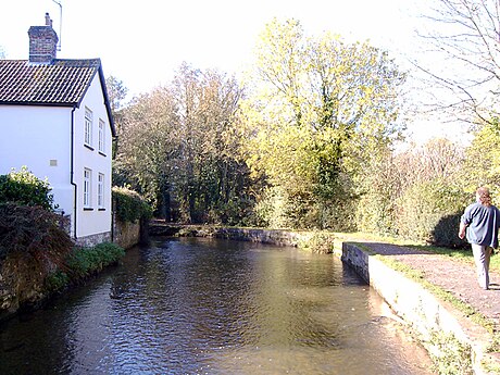 Sungai Frome, Dorset