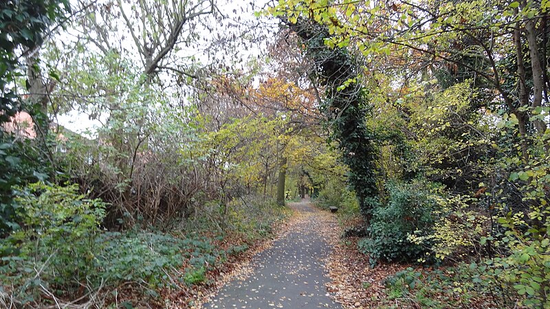 File:Downham Woodland Walk 3.JPG