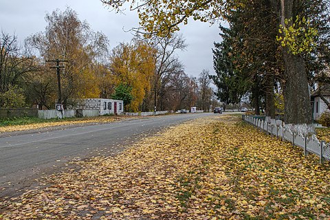 Drimailivka