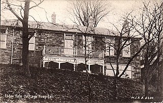 <span class="mw-page-title-main">Ebbw Vale Hospital</span> Hospital in Wales