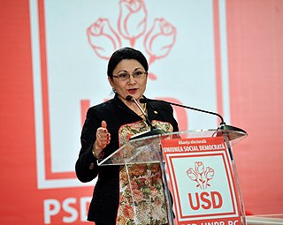 <span class="mw-page-title-main">Ecaterina Andronescu</span> Romanian engineer, professor and politician