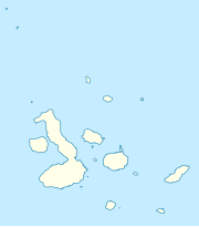 Puerto Ayora, Galápagos Adaları'nda yer almaktadır