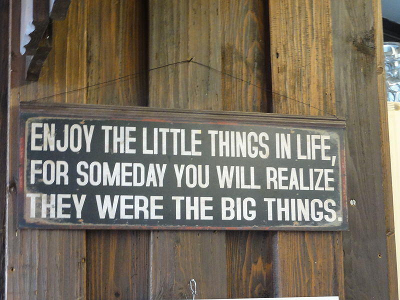 File:Enjoy the little things in life, for someday you'll realize they were big things.JPG