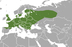 European Mole area.png