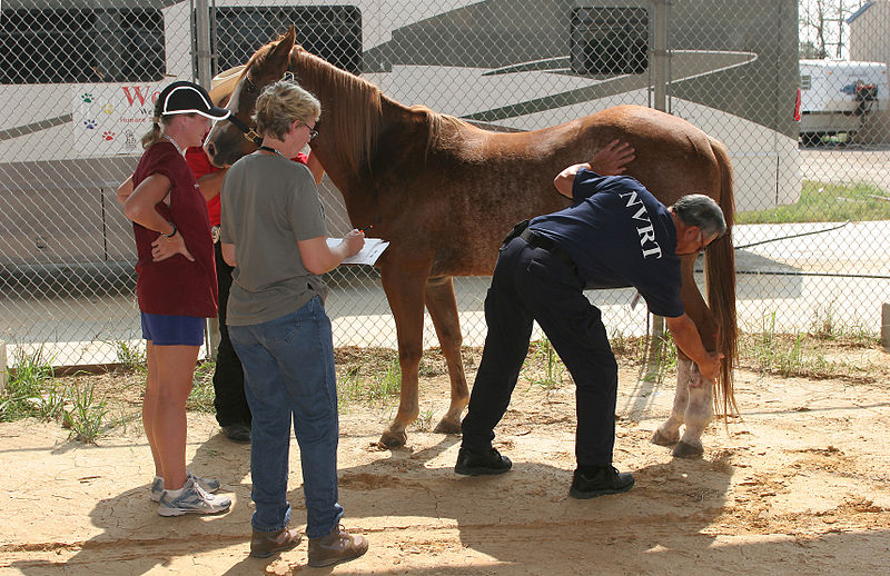 File:FEMA - 16518 - Photograph by Bob McMillan taken on 09-30-2005 in Texas.jpg