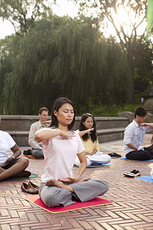 Falun Gong adherents practice the fifth exercise, a meditation, in Manhattan Falun Gong Meditation in Manhattan New York.jpg