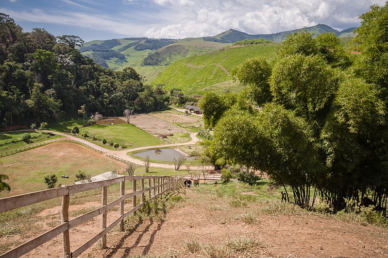 File:Fazenda de Pedra.jpg