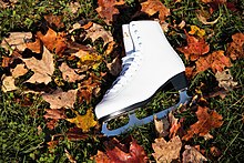 Figure skate Figure Skates.jpg