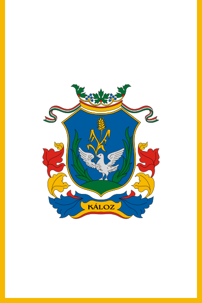 File:Flag of Káloz (vertical).svg