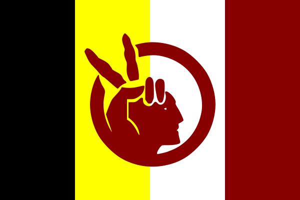 [Image: 600px-Flag_of_the_American_Indian_Movement.svg.png]