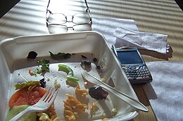 Reading news sites on a Verizon Wireless Treo 650 while eating lunch Florham Park Cafe lunchtime salad bar with Palm Treo.jpg