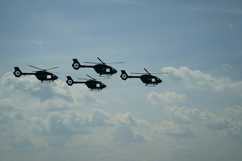 File:Flugshow der Bundeswehr (27003433517).jpg