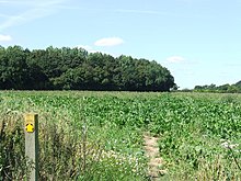 Fußweg zu Cowper's Wood - geograph.org.uk - 542176.jpg