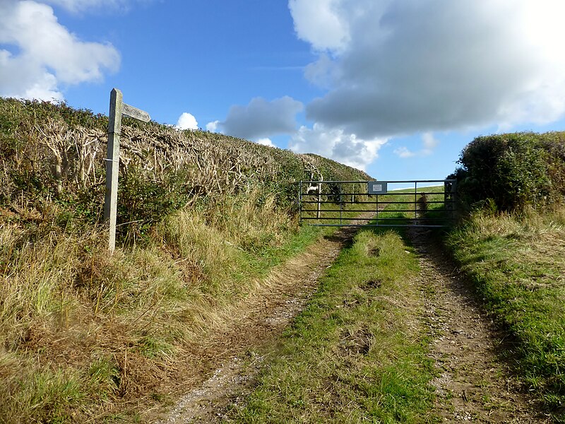 File:Footpath To Roosecote Moss - geograph.org.uk - 4694616.jpg