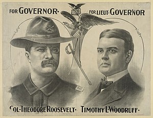 Theodore Roosevelt: Biografía, Política exterior, Política interna