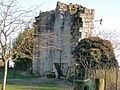 Français : Vestiges de l'église de l'Houme, Fouquebrune, Charente, France. Vue du nord-ouest