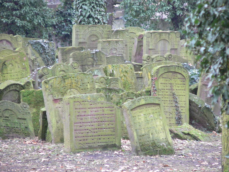 File:Frankfurt Alter jüdischer Friedhof 2.JPG