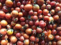 Fresh Cherry Tomatoes.jpg