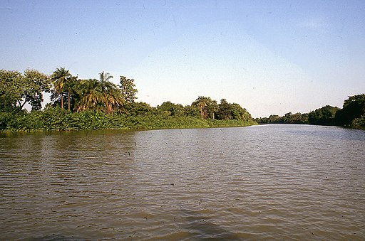 Gambia 1990 30 (4650073635)