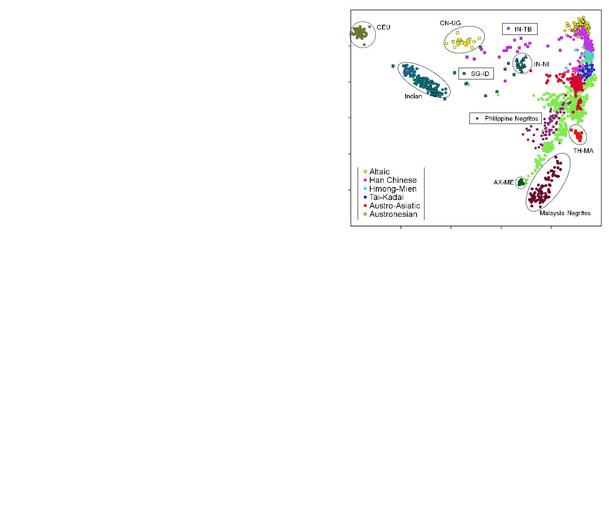 Principal components plot for Asian populations. East and South East Asians are seen to cluster together tightly, also showing affinity with Malay. Indians cluster separately, closer to Europeans (CEU). Several admixed populations are visible, Central Asian Uyghur (CN-UG), Spiti ("The Middle Land", i.e. the land between Tibet and India) (IN-TB), Nepalese Tharu (IN-NI) and Singapore Tamils (SG-ID).