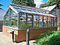 Greenhouse for carnivorous plants