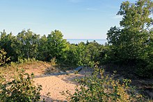 View from the top of Old Baldy in August Gfp-wisconsin-whitefish-dunes-top-of-the-dune.jpg