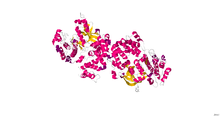 Gproteïne-gekoppelde receptor kinase.png