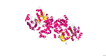 Gprotein-coupled receptor kinase.png