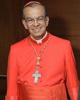 Gregorio Rosa Chávez Salvadoran Roman Catholic prelate (born 1942)