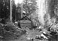 Group of men in front of a log cabin in the woods, 1900-1910 (WASTATE 3110).jpeg