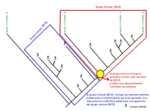 Vignette pour Groupe-couronne