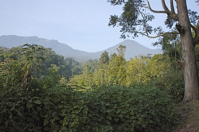 File:Gunung_Gede_Pangrango_National_Park_-_Flickr_-_Lip_Kee_(1).jpg