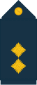 Lieutenant (GDF Air Corps)