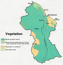 Guyana veg 1973.jpg