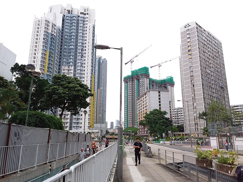 File:HK SPK 新蒲崗 San Po Kong 彩虹道 Choi Hung Road May 2019 SSG 32.jpg