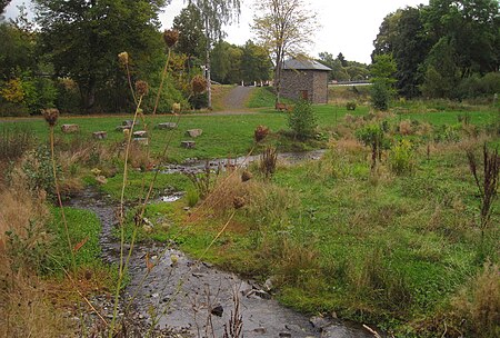 Hallenberg WeifeMariengarten1 Asio