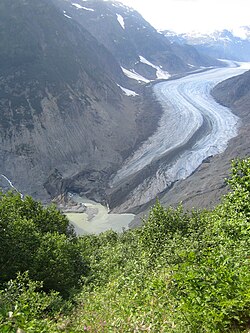 Qizil ikra-glacier.jpg-losos-daryo boshi