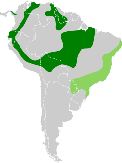 Distribución geográfica del tiluchí alirrufo sureño y del tiluchí alirrufo norteño.