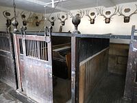 Loose boxes in stable block built by Sir Thomas Dyke Acland, 9th Baronet (1752-1794) at Holnicote, with his stag head trophies HolnicoteStables LooseBoxes Selworthy Somerset.JPG