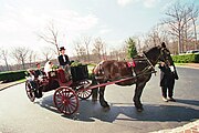 Horse wagon at Charlottesville