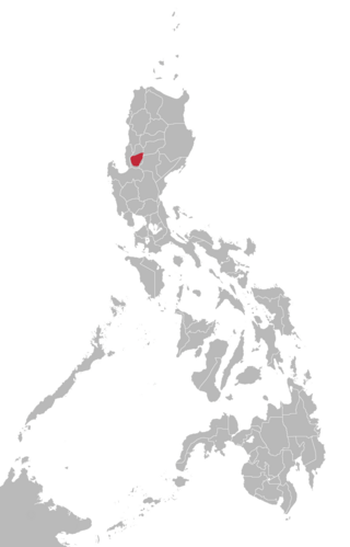 <span class="mw-page-title-main">Ibaloi language</span> Austronesian language spoken in the Philippines