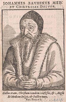 Franca kirurgo, kuracisto, kaj luterana, privata kuracisto de Johana de Albreto (1528-1572), reĝino de Navaro.