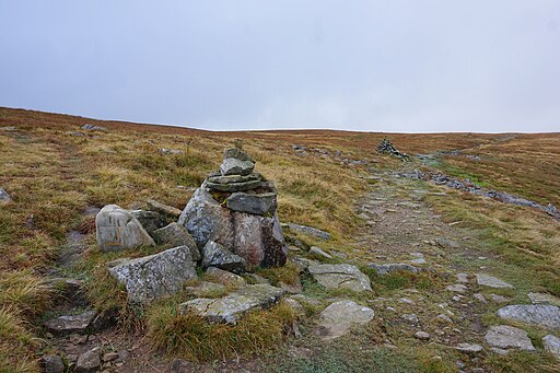 Junction of paths on Skirwith Fell - geograph.org.uk - 4693374