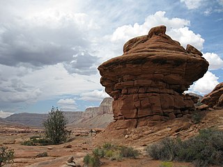 <span class="mw-page-title-main">Kanab Creek Wilderness</span> Protected area in the Kaibab National Forest