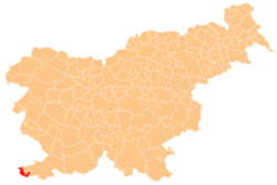Розташування міста Община Пиран